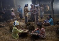 اكسبوجر 2026 يوثق الإنسان حكاية  بصرية عبر عدسات أبرز  مصوري البورتريه العالميين￼