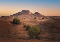 باحثون من الإمارات والمملكة المتحدة والولايات المتحدة وألمانيا وإسبانيا يحصلون على منح علمية لدراسة موقع الفاية للتراث العالمي باحثون من الإمارات والمملكة المتحدة والولايات المتحدة وألمانيا وإسبانيا يحصلون على منح علمية لدراسة موقع الفاية للتراث العالمي
