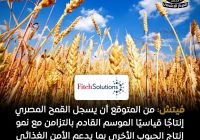 إنتاج القمح في مصر خلال موسم 2026، يتجاوز 10 ملايين طن إنتاج القمح في مصر خلال موسم 2026، يتجاوز 10 ملايين طن